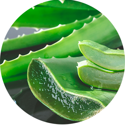 Sparkling Aloe Vera drink
